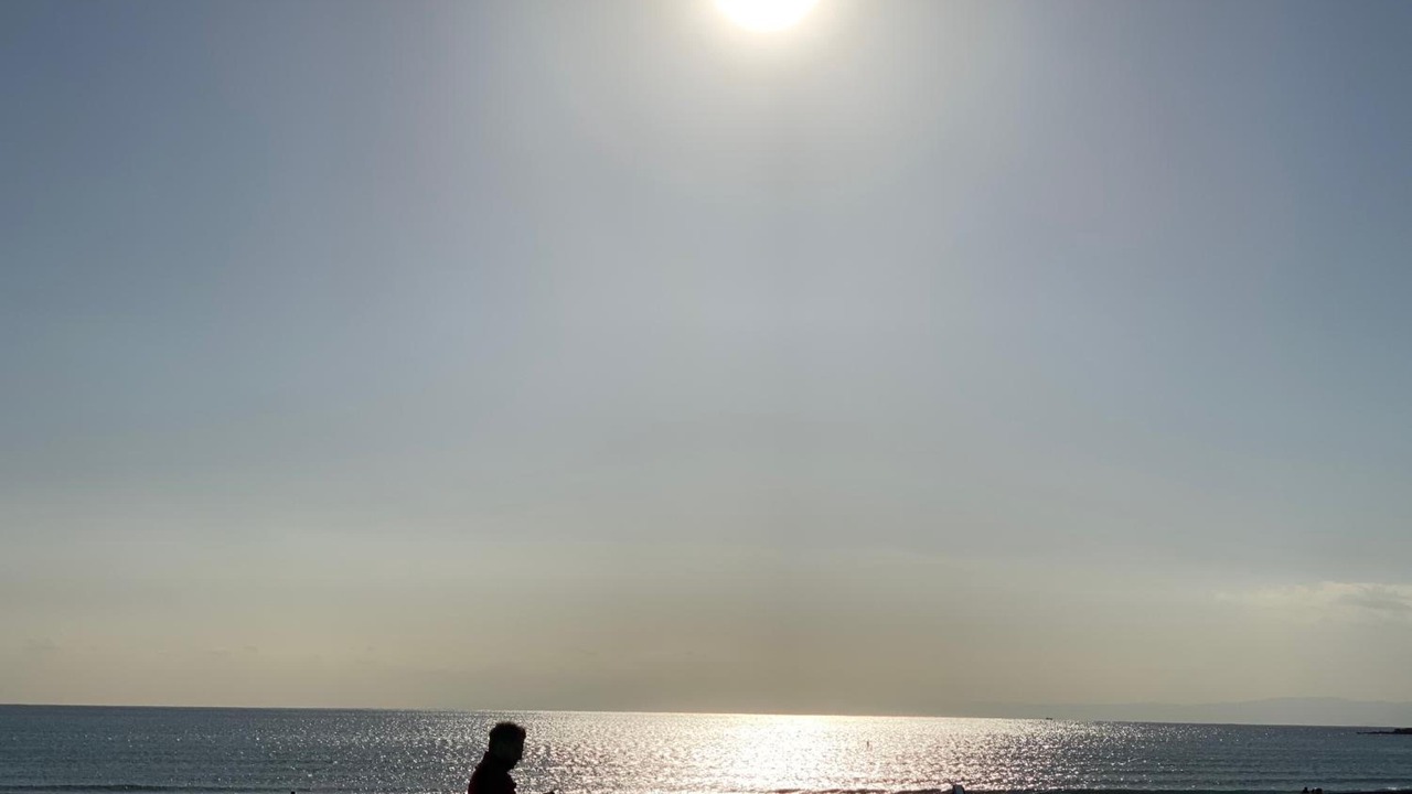 Photo of Others in Kamakura