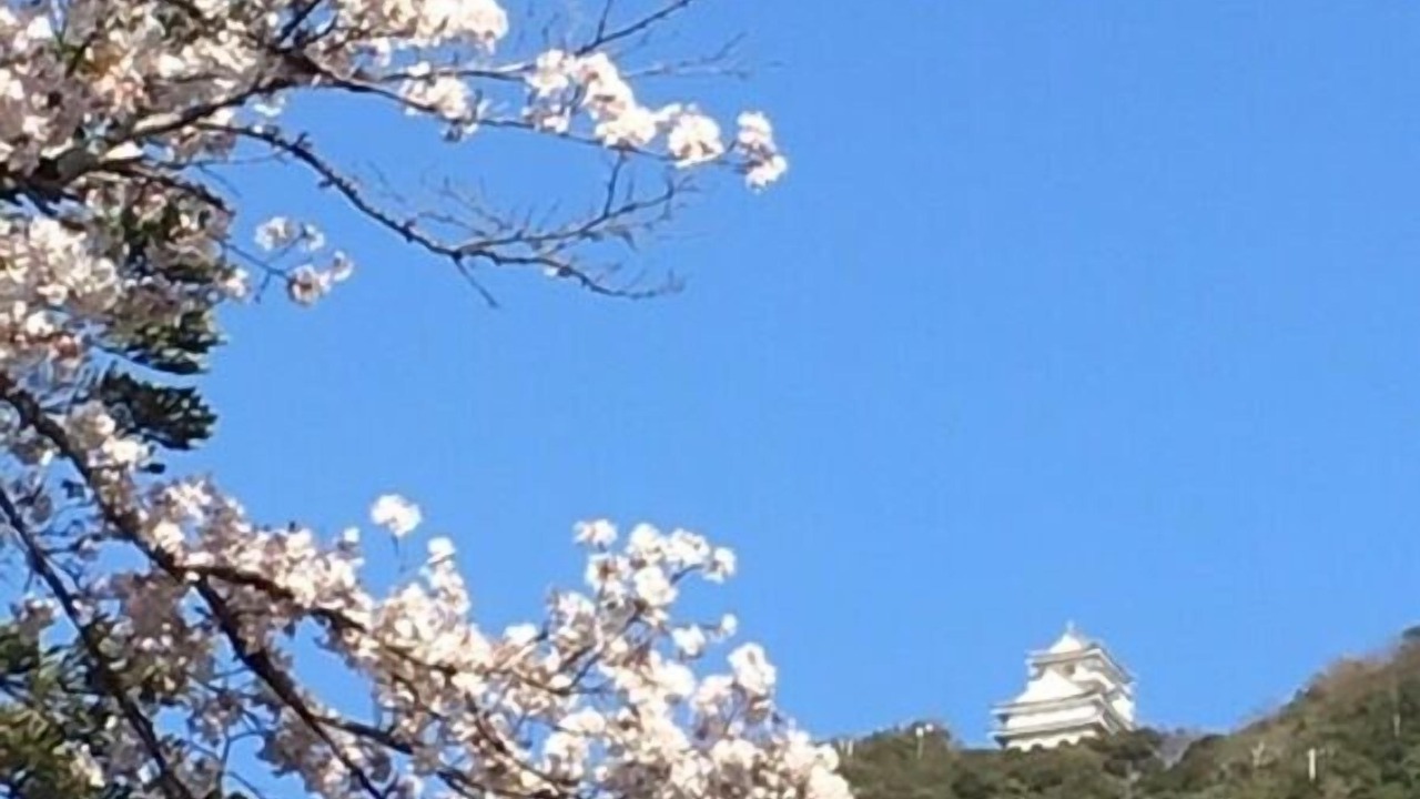 Photo of Others in Gifu