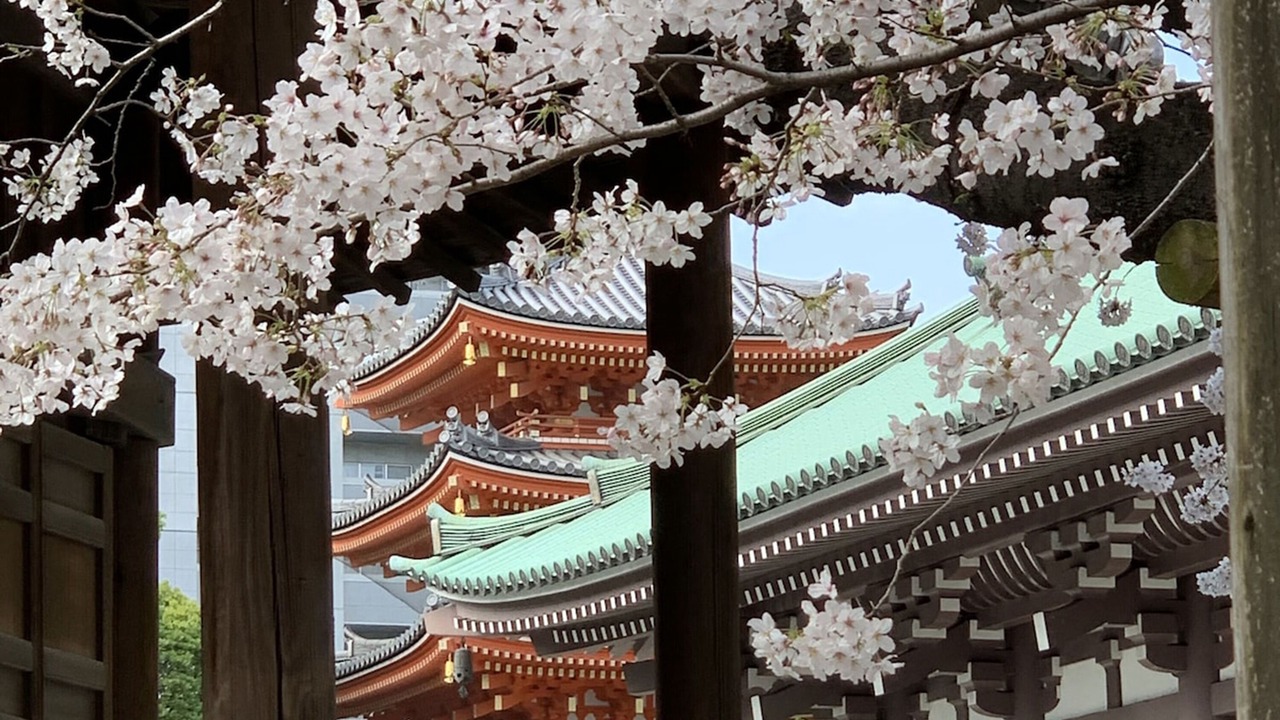 Photo of Others in Gionmachi