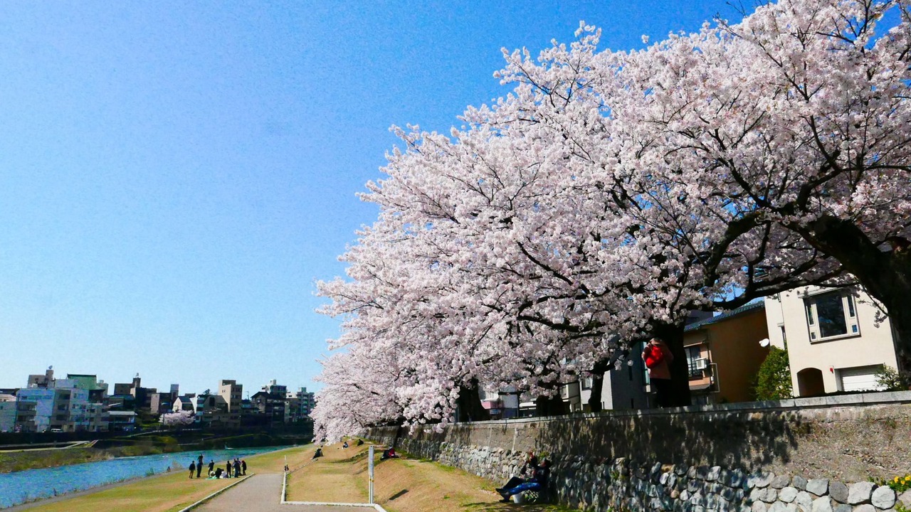 Photo of Outdoor in Kanazawa