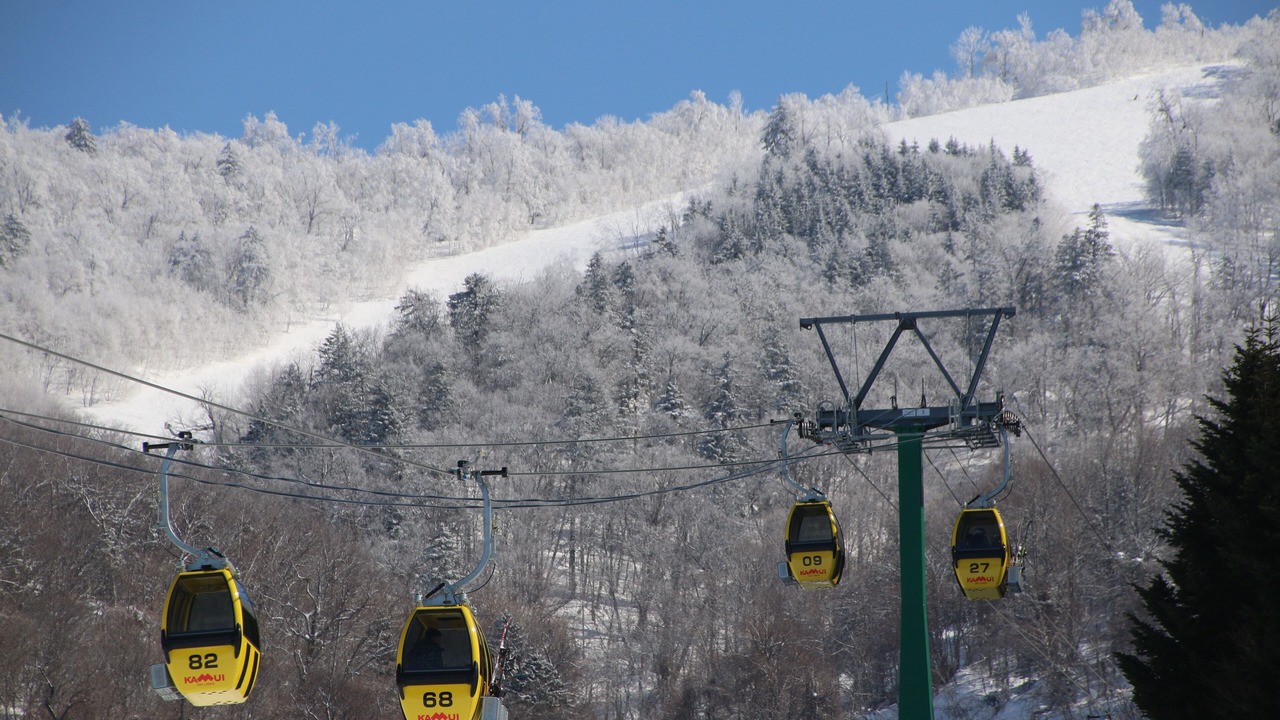 Photo of Others in Asahikawa