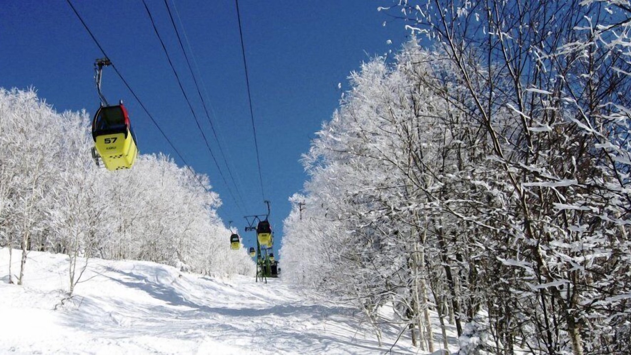 Photo of Others in Asahikawa