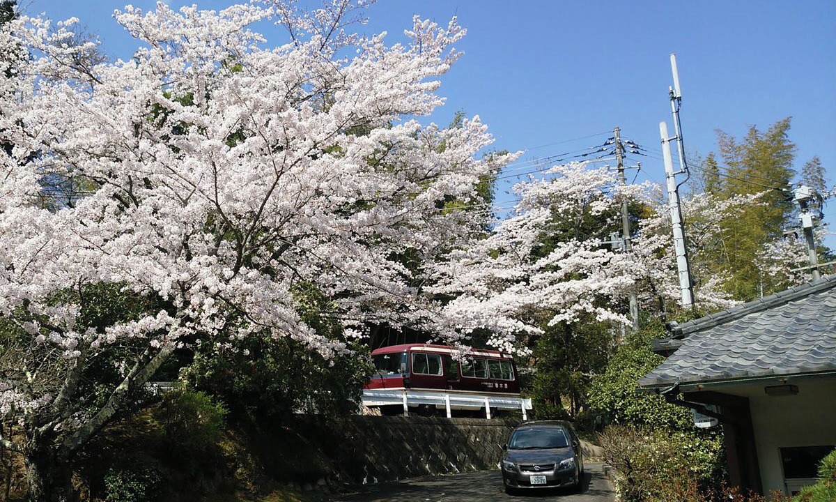 Photo of Others in Iwaki