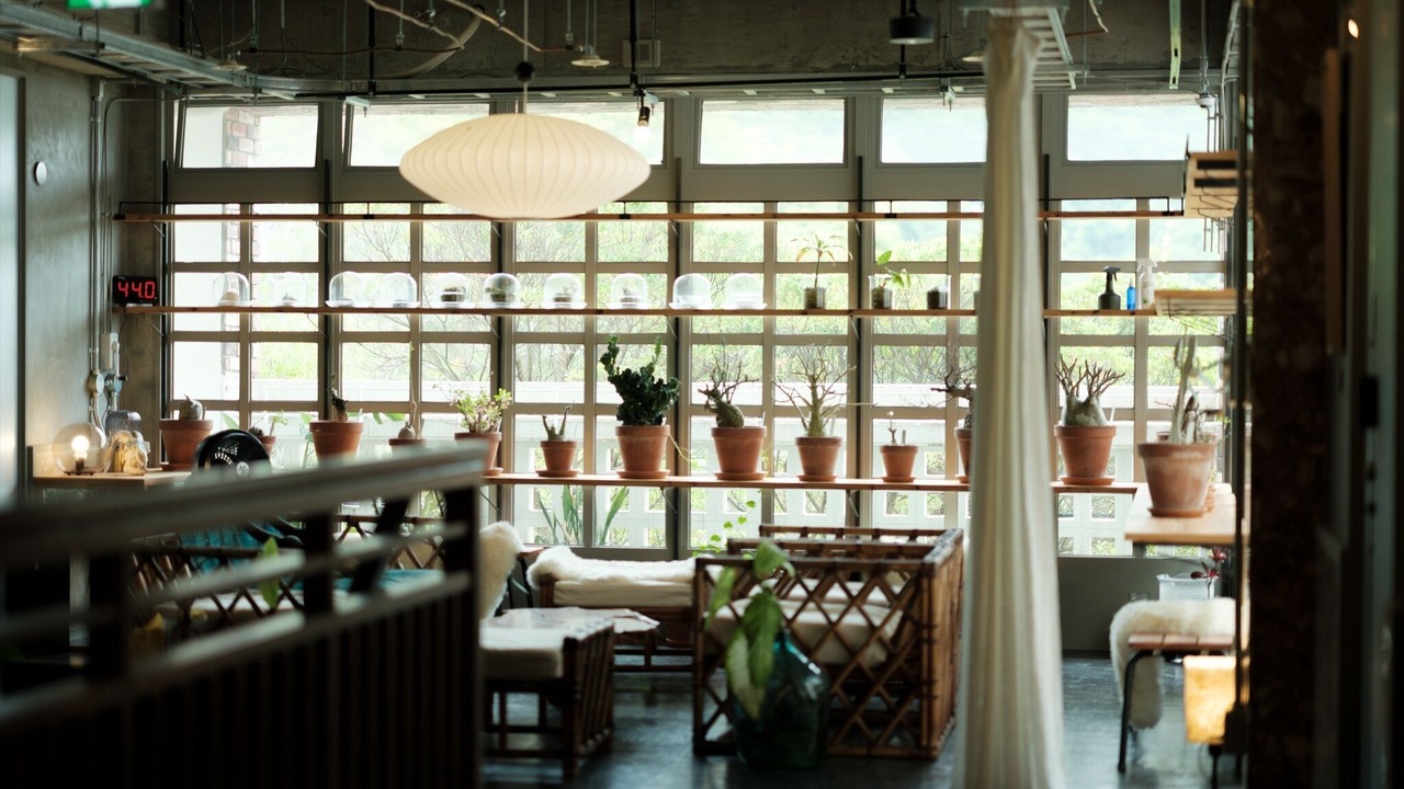 Photo of Others in Nago