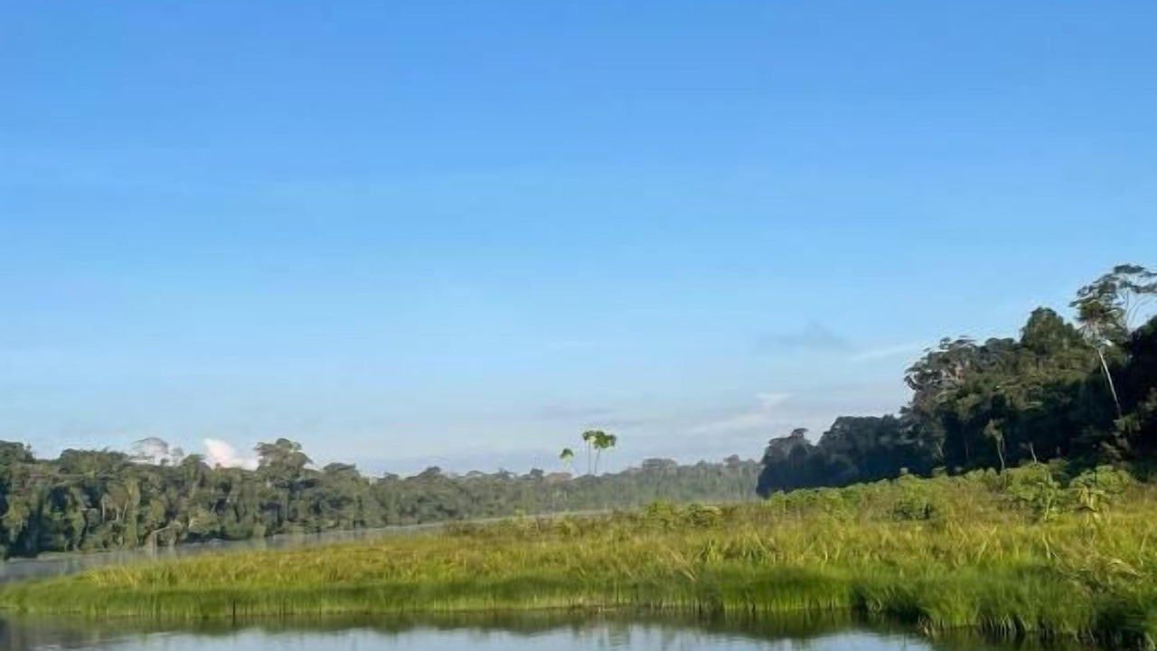 Photo of Outdoor in Puerto Maldonado