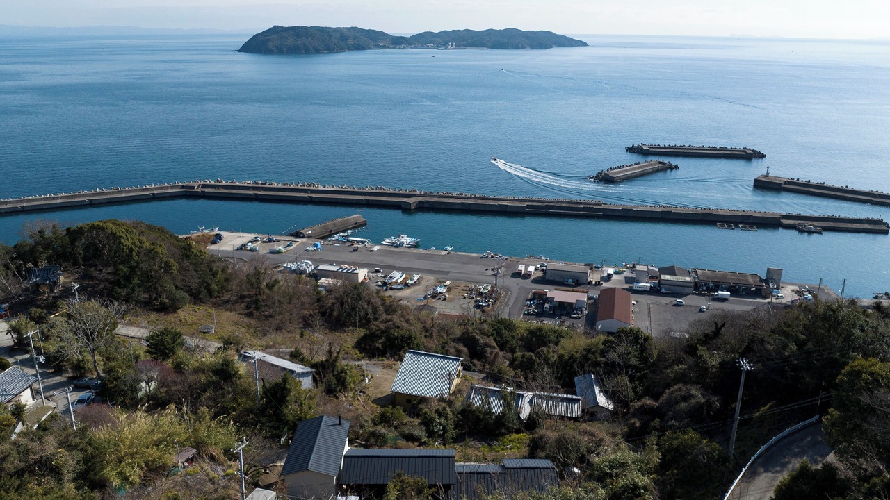 Photo of Others in Minamiawaji
