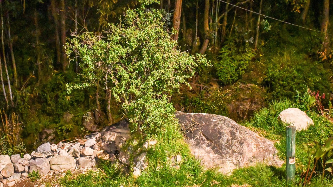 Photo of Others in Ollantaytambo
