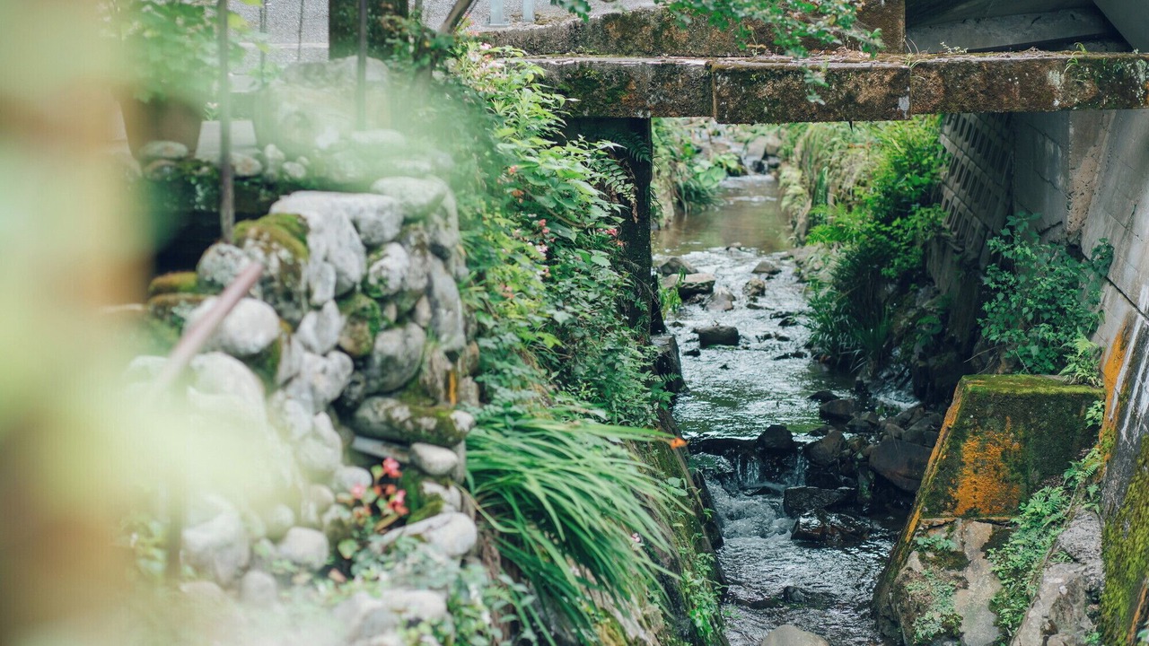 Photo of Others in Gotsu