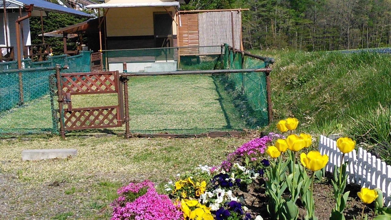 Photo of Outdoor in Kita Karuizawa