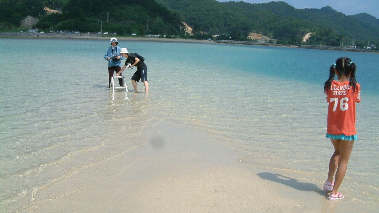Photo of Others in Amami