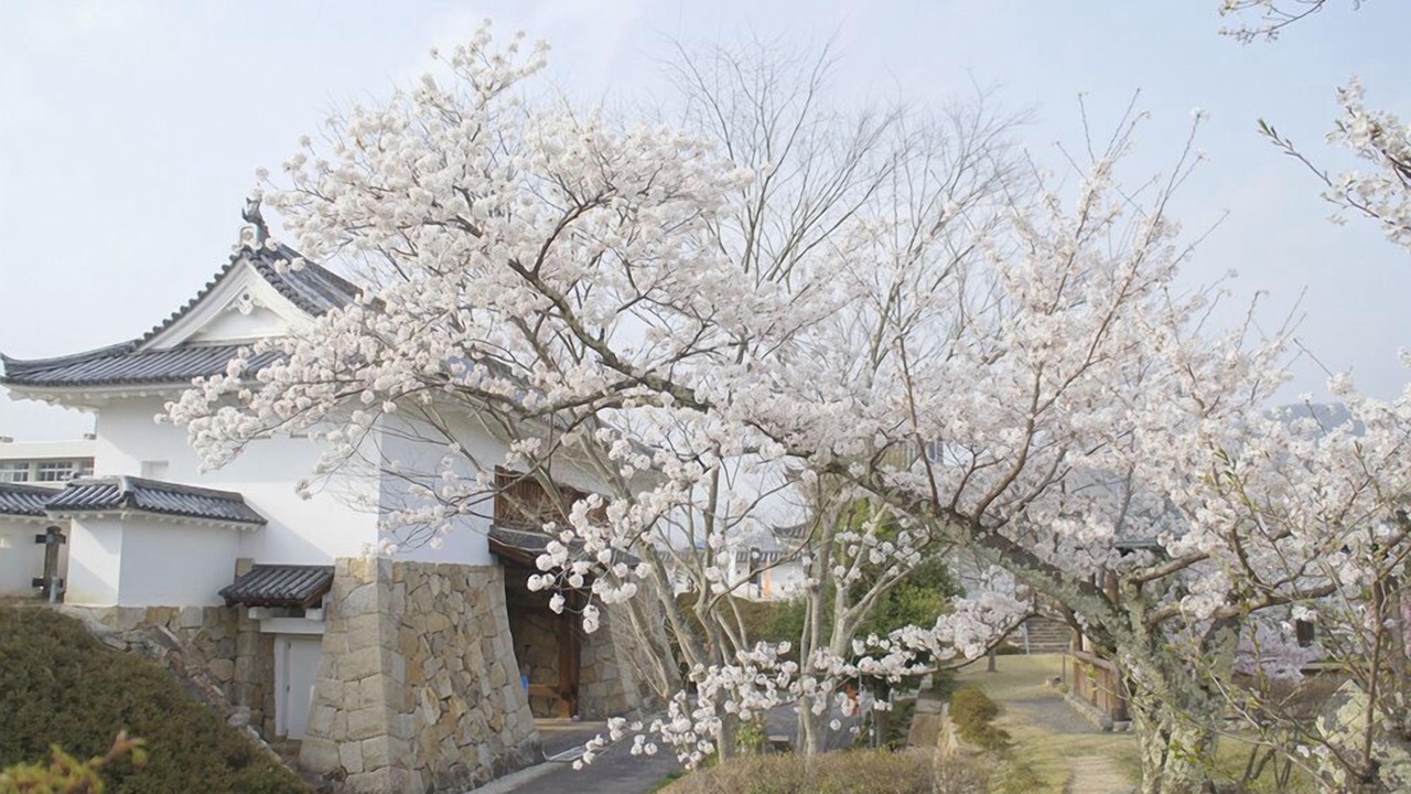 Photo of Others in Maizuru