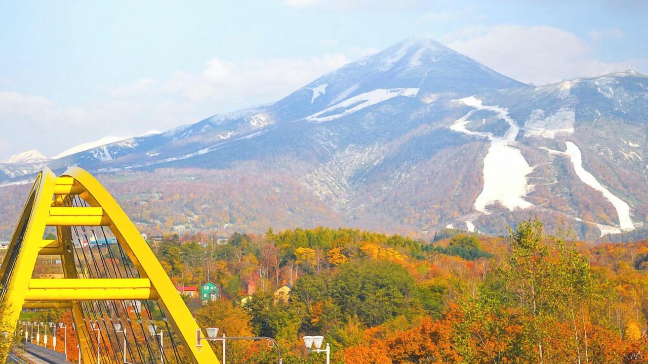 Photo of Others in Niseko
