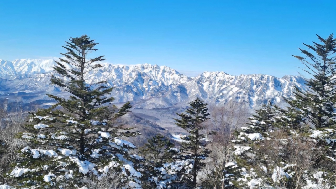 Photo of Others in Togakushi