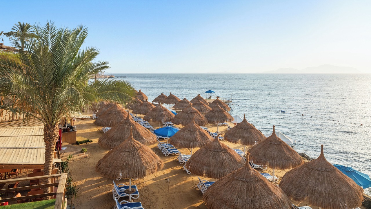 Photo of Others in Sharm El Sheikh