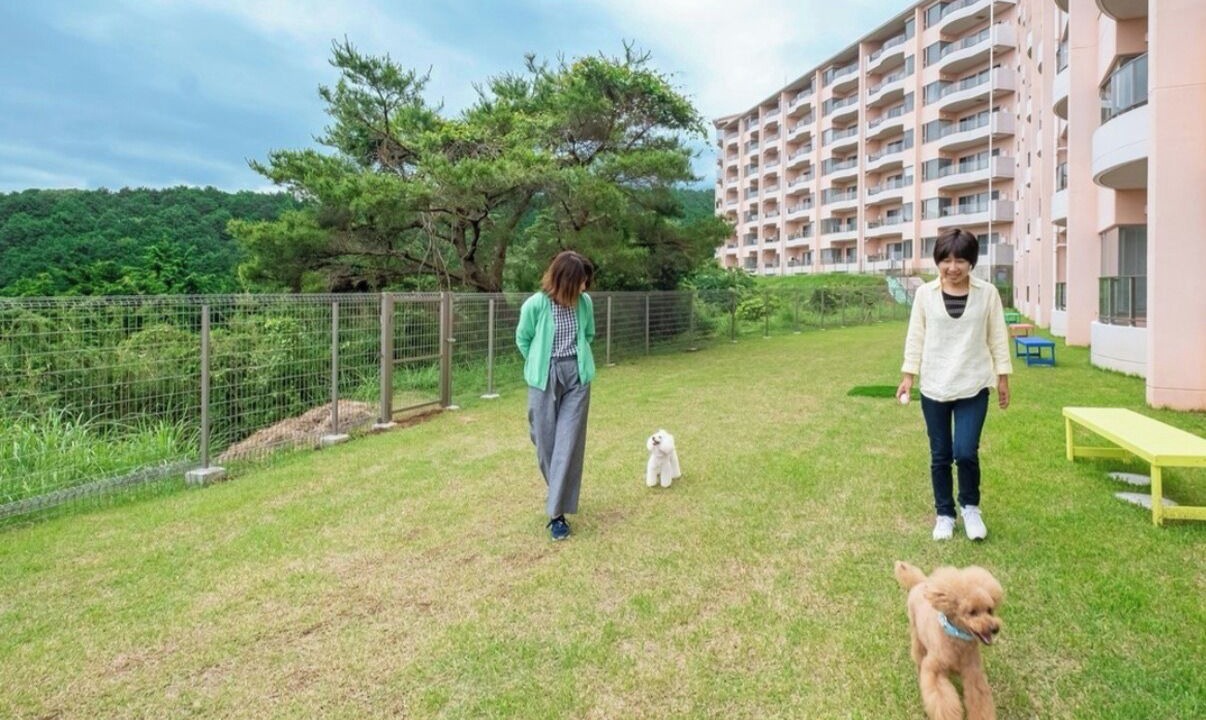 Photo of Others in Numazu