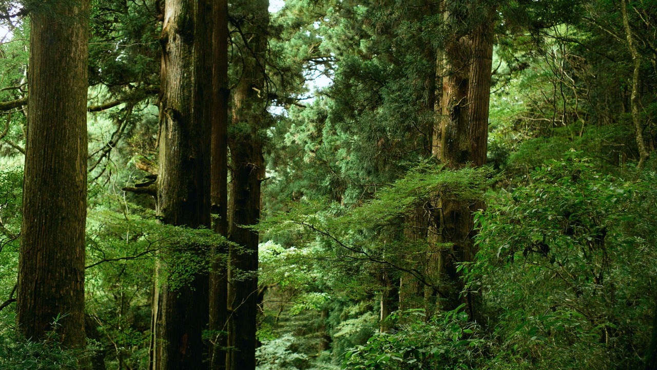 Photo of Others in Hakone