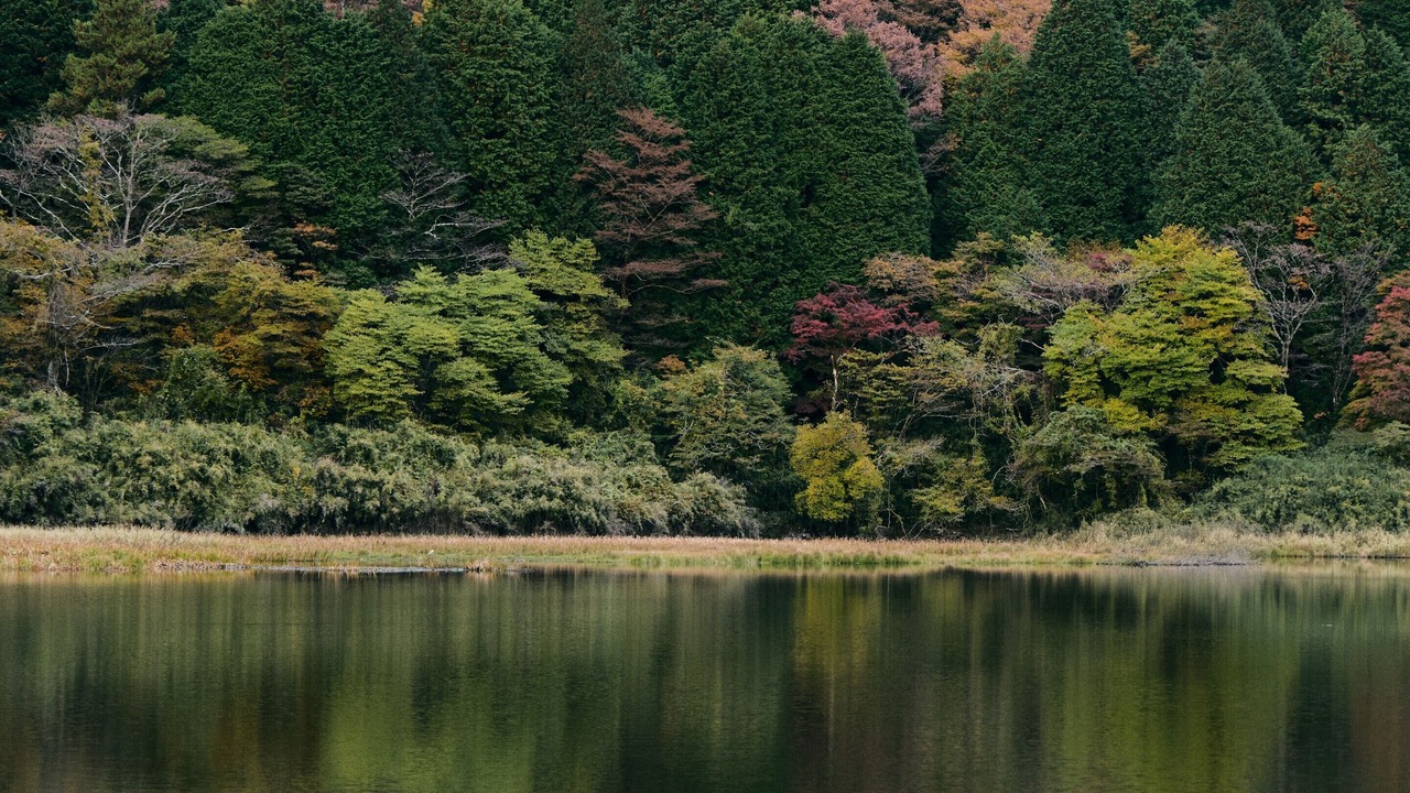 Photo of Others in Hakone