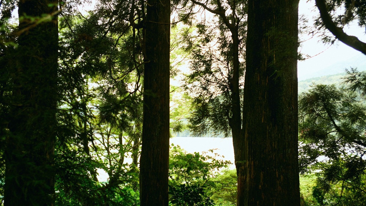 Photo of Others in Hakone
