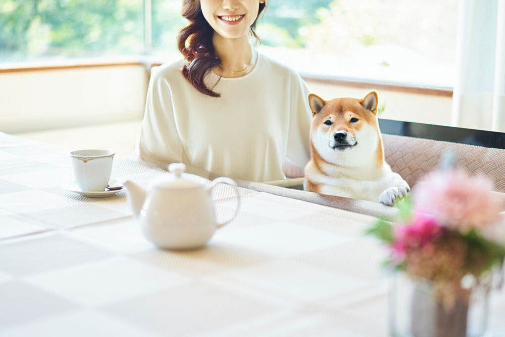 Photo of Others in Yumoto