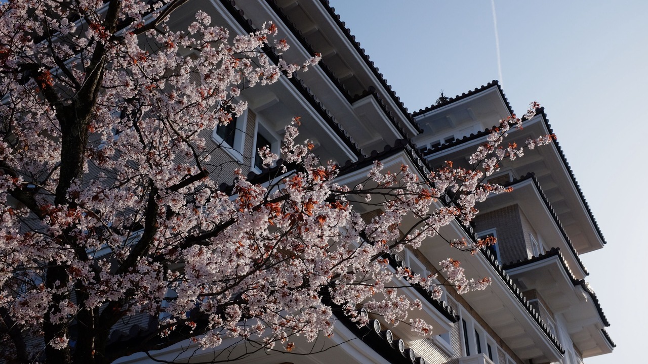 Photo of Outdoor in Gion