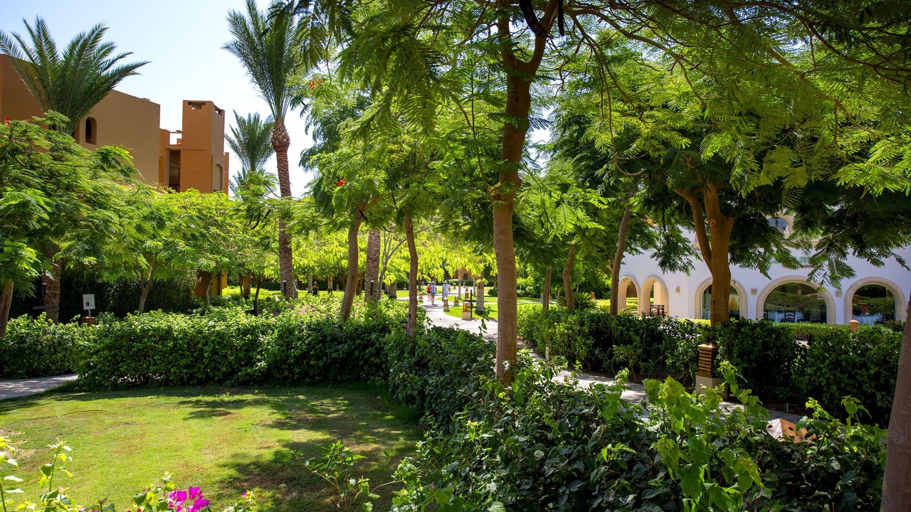 Photo of Outdoor in Makadi Bay