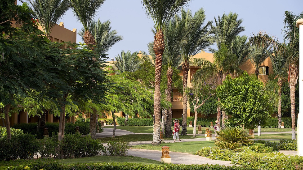 Photo of Outdoor in Makadi Bay