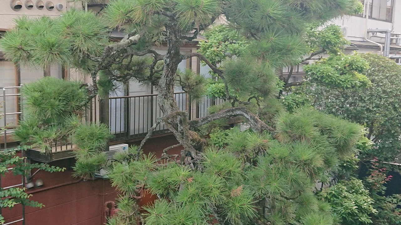 Photo of Bedroom in Kinosaki Onsen