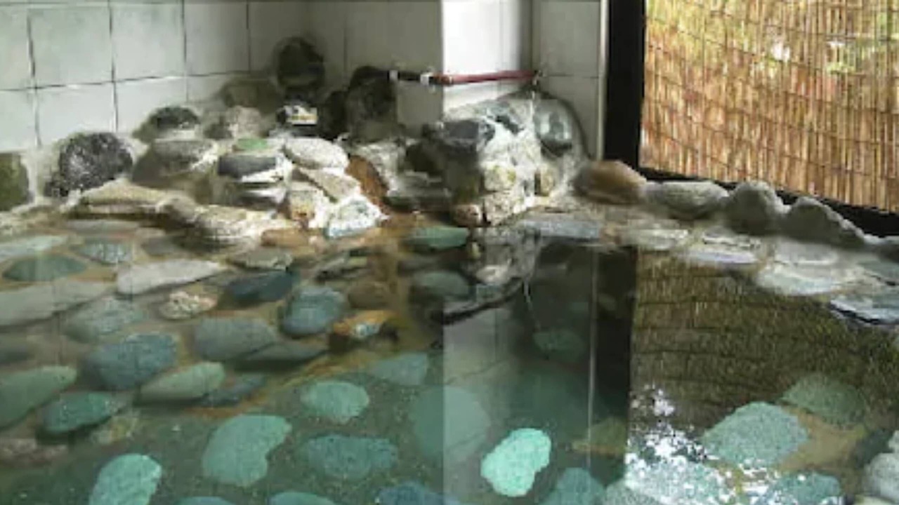 Photo of Bedroom in Shima