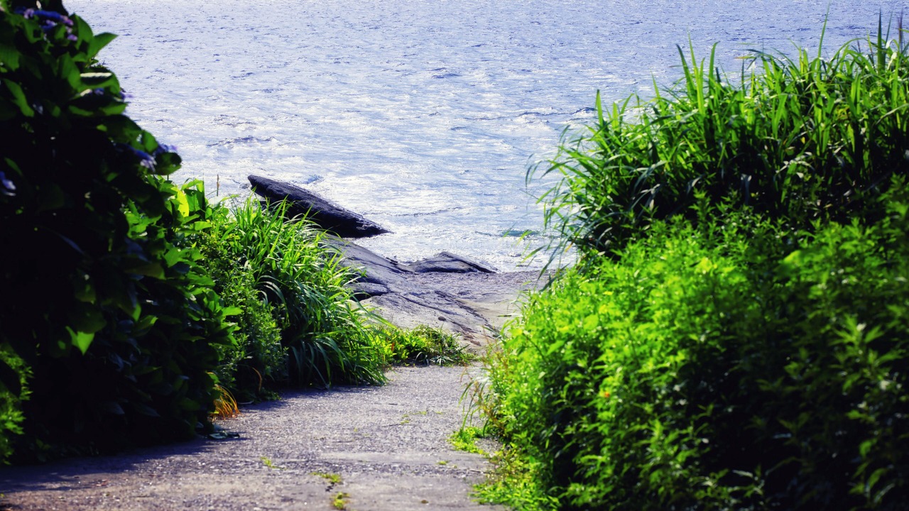 Photo of Others in Awa Onsen