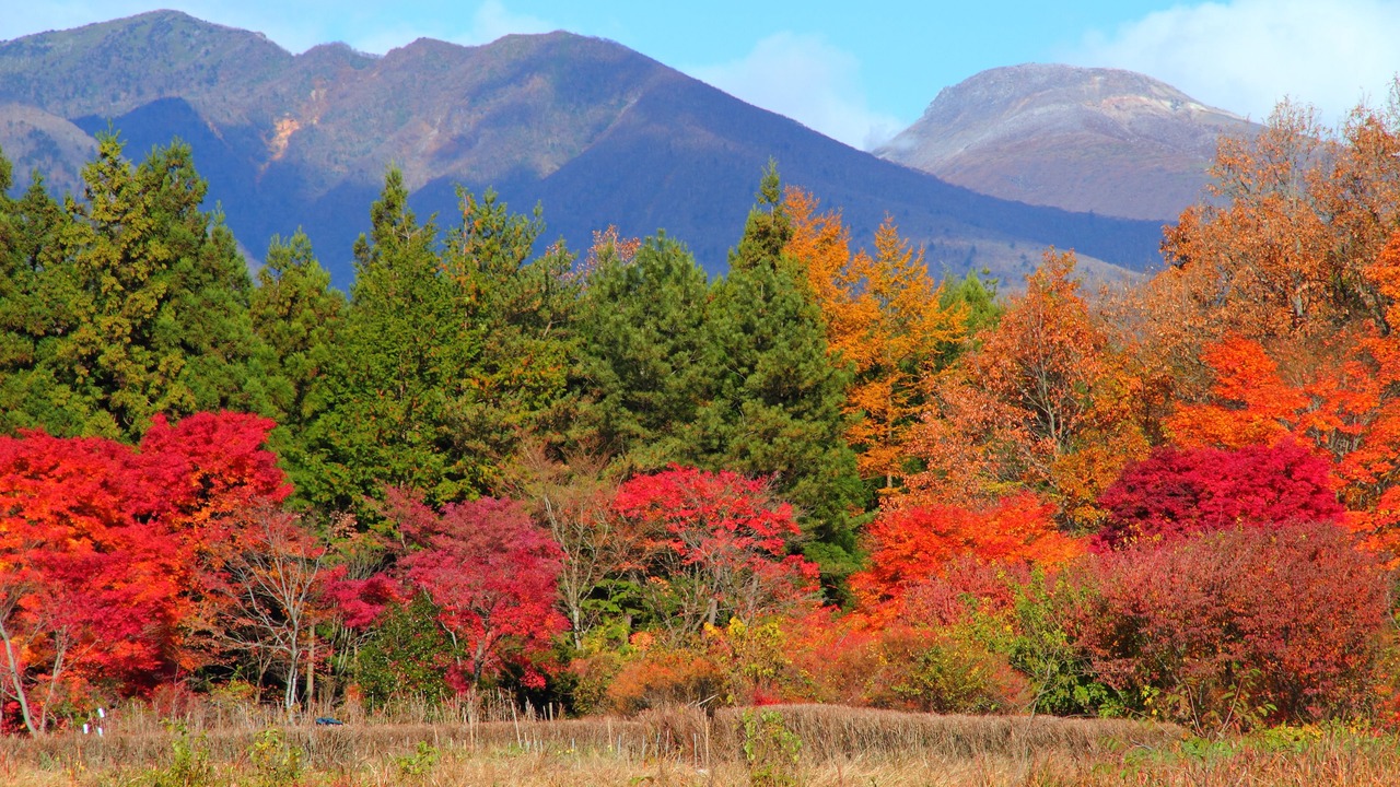 Photo of Others in Nasu