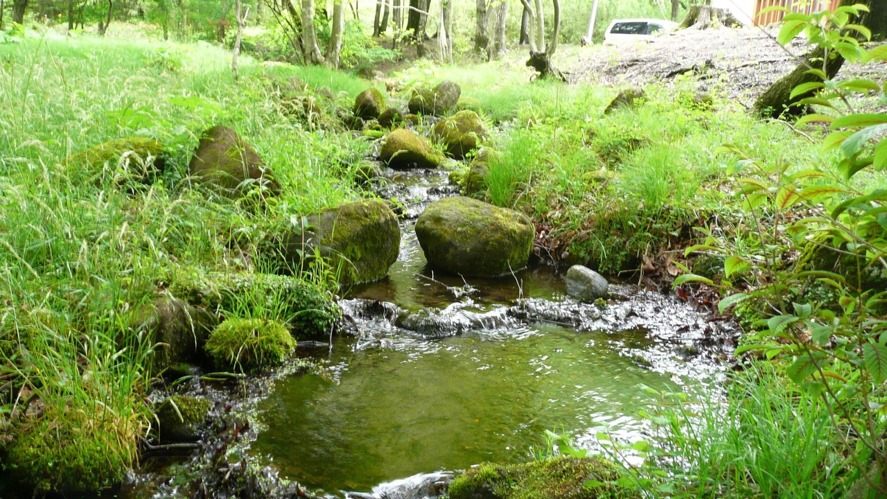 Photo of Outdoor in Nasu