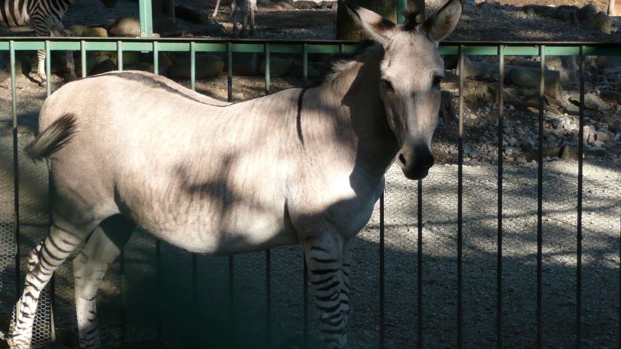 Photo of Outdoor in Nasu
