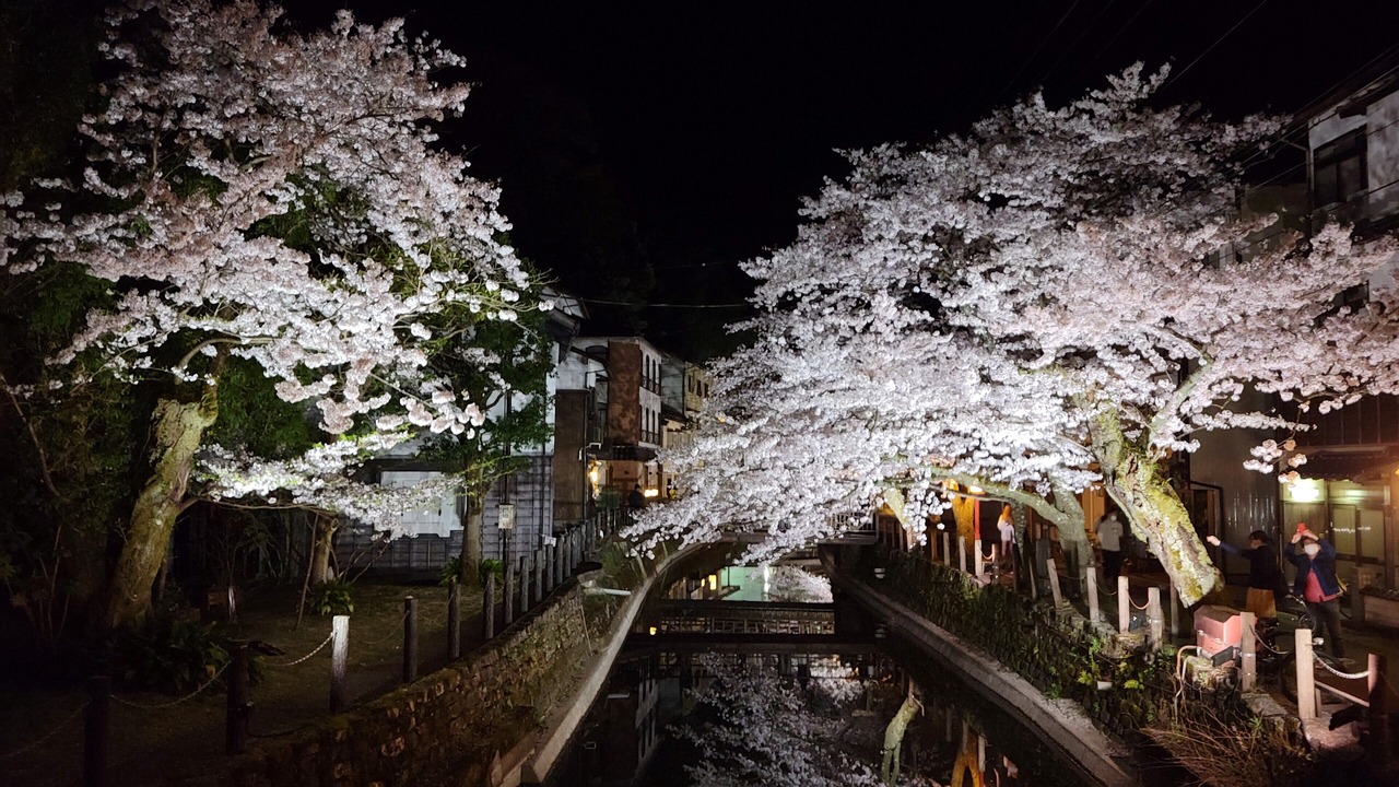 Photo of Others in Kinosaki Onsen