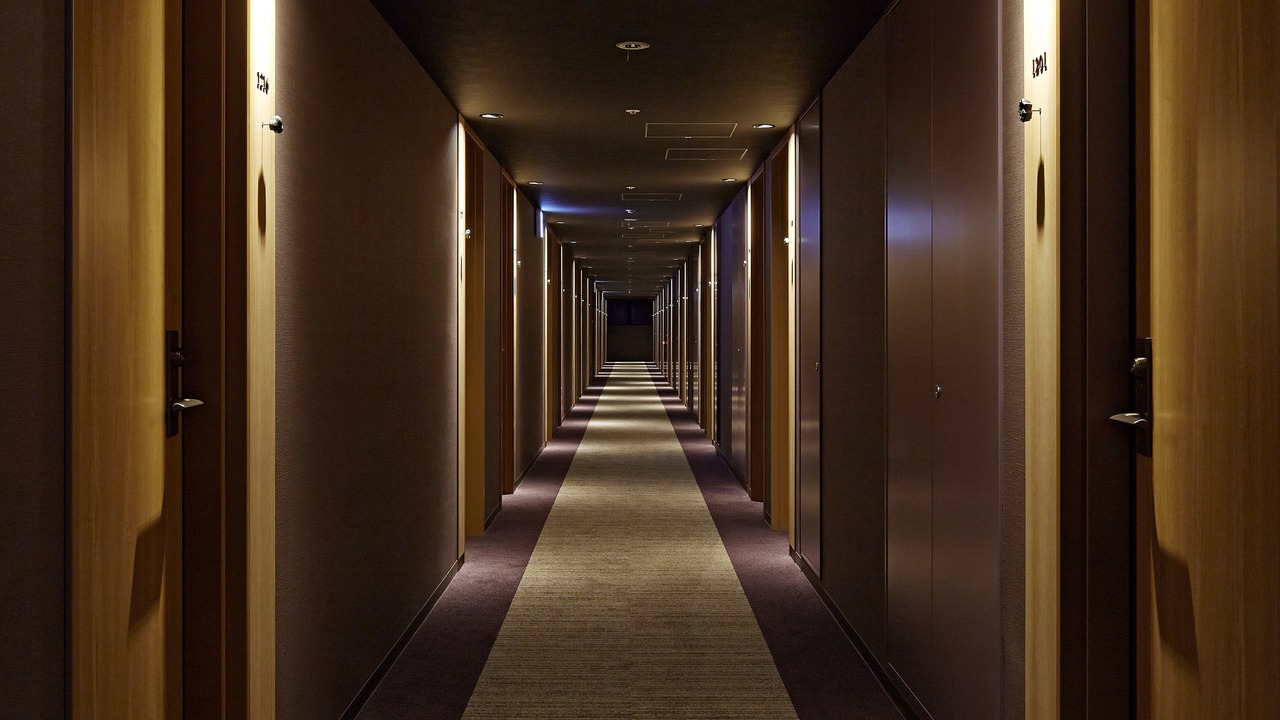 Photo of Others in Okaido