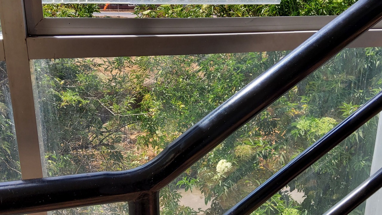 Photo of Outdoor in San Antonio