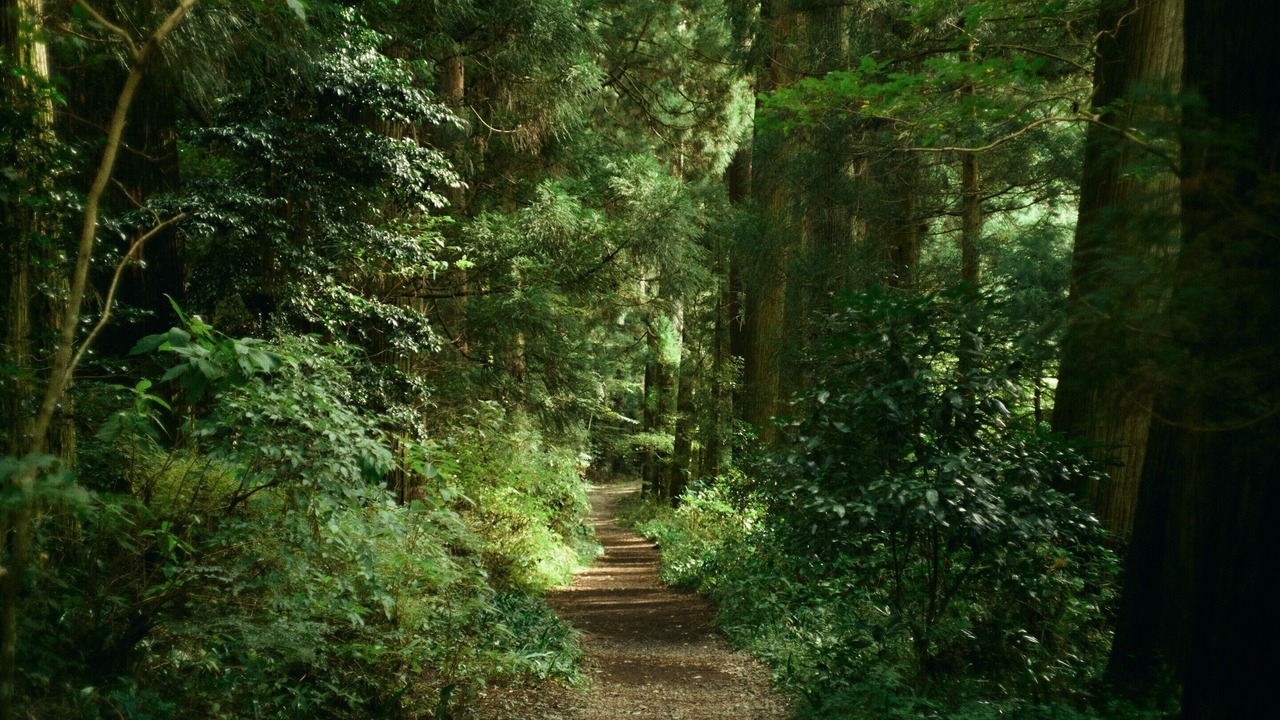 Photo of Others in Hakone