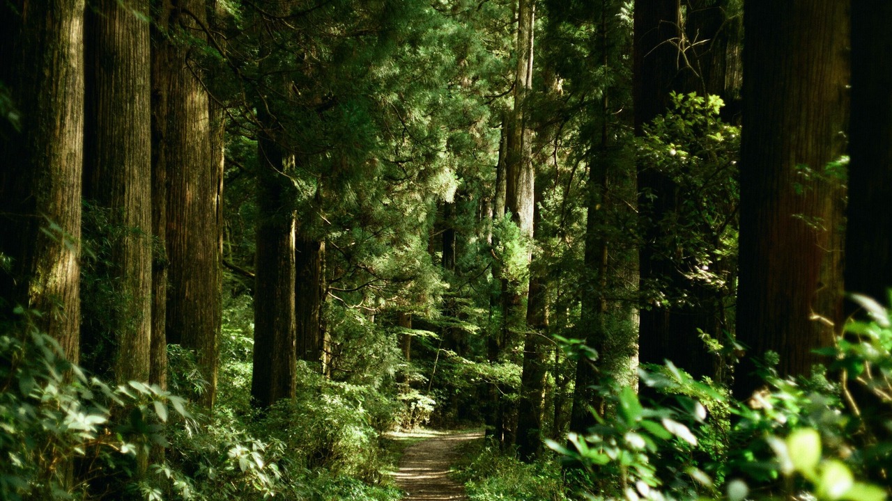 Photo of Others in Hakone