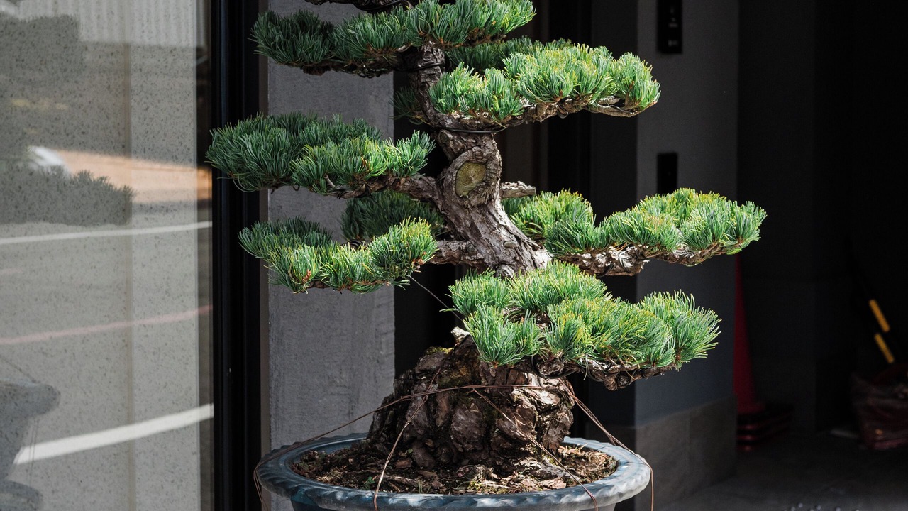 Photo of Outdoor in Shijo
