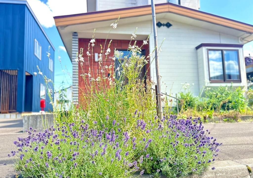 Photo of Outdoor in Furano