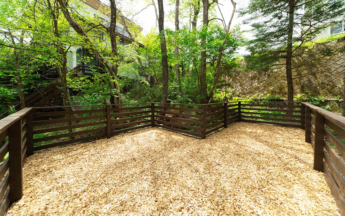 Photo of Outdoor in Tsumagoi