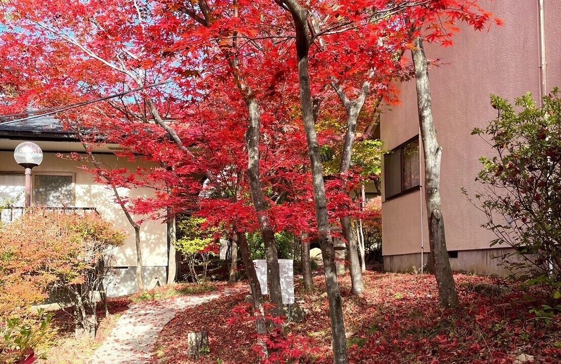 Photo of Outdoor in Kinugawa Onsen