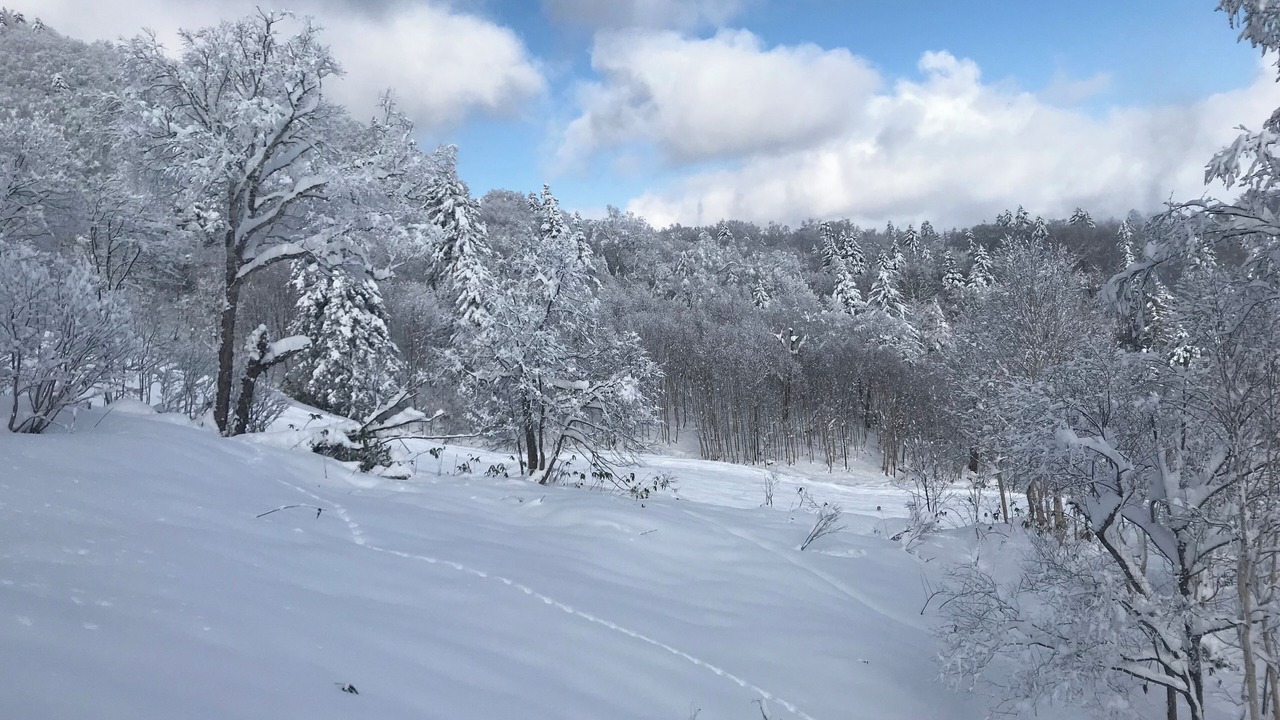 Photo of Others in Furano