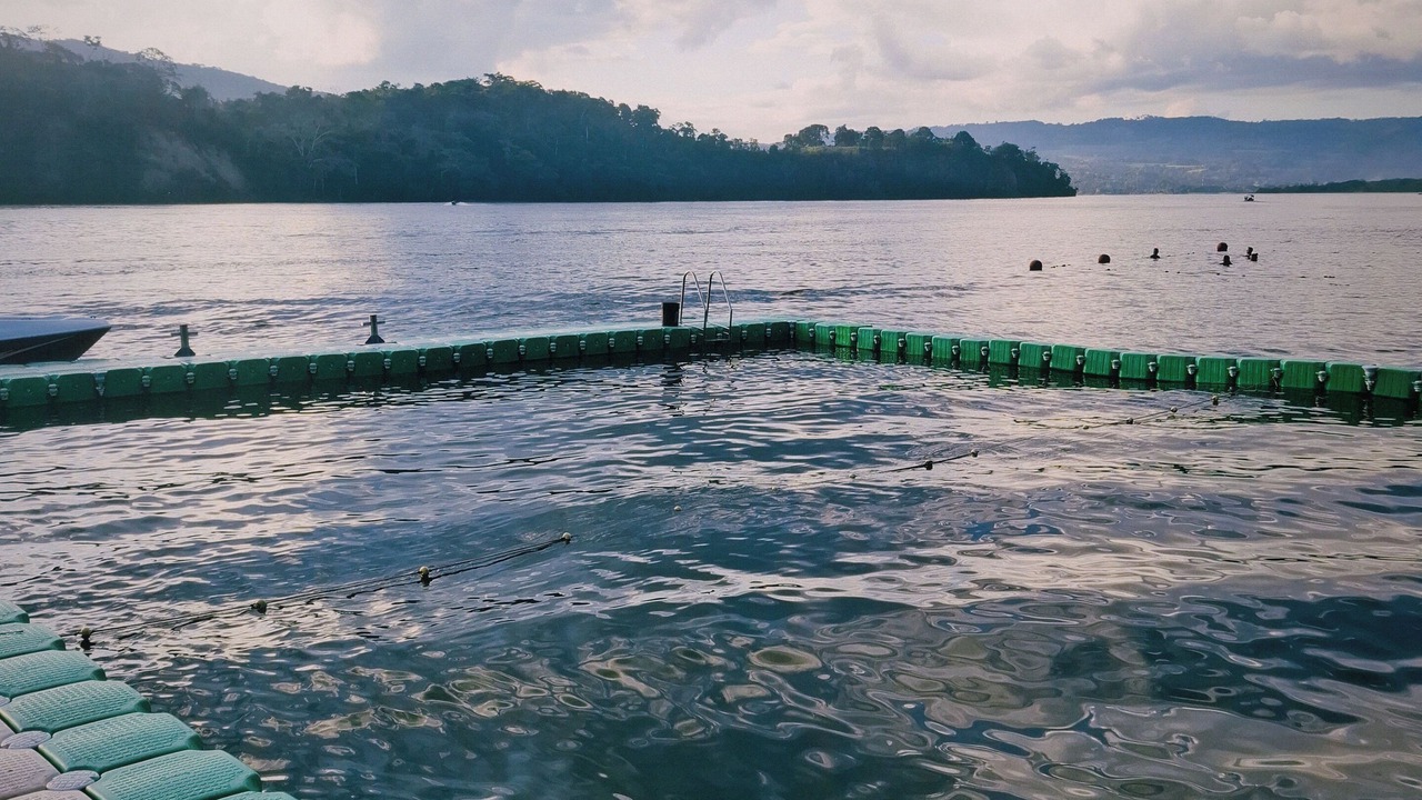 Photo of Others in Tarapoto
