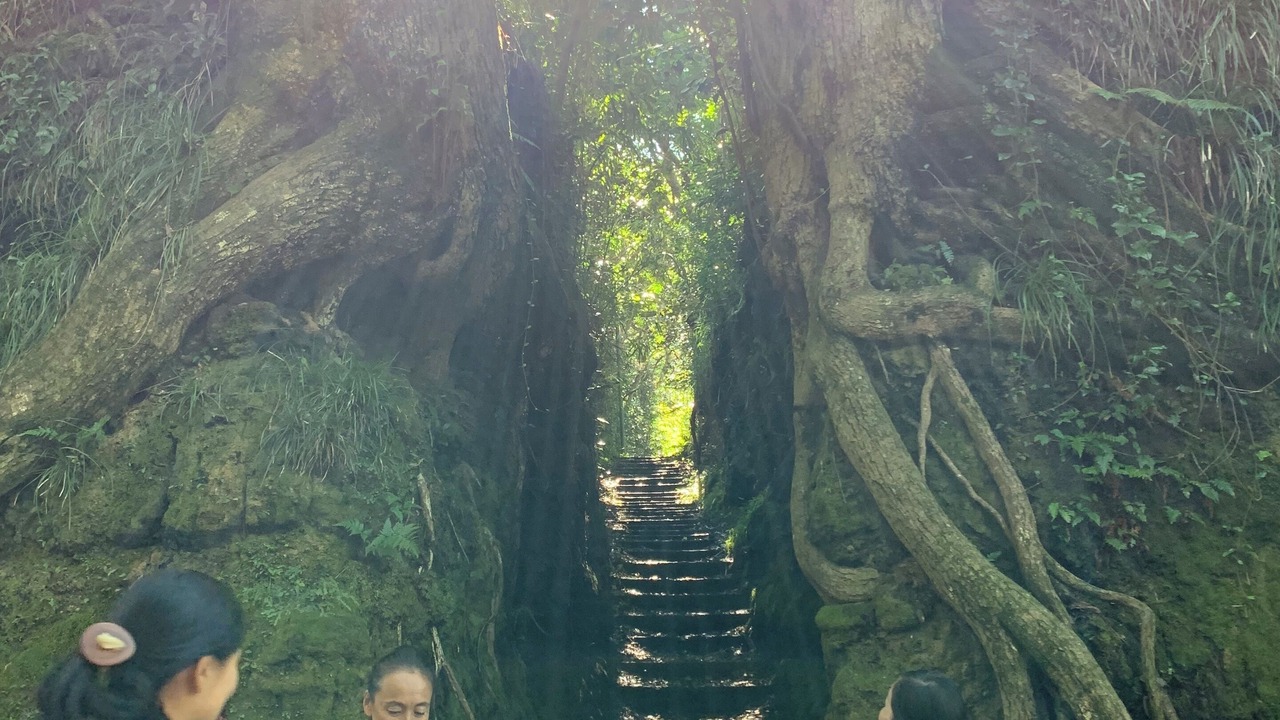Photo of Outdoor in Oshima