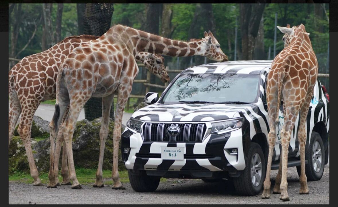 Photo of Others in Gotemba