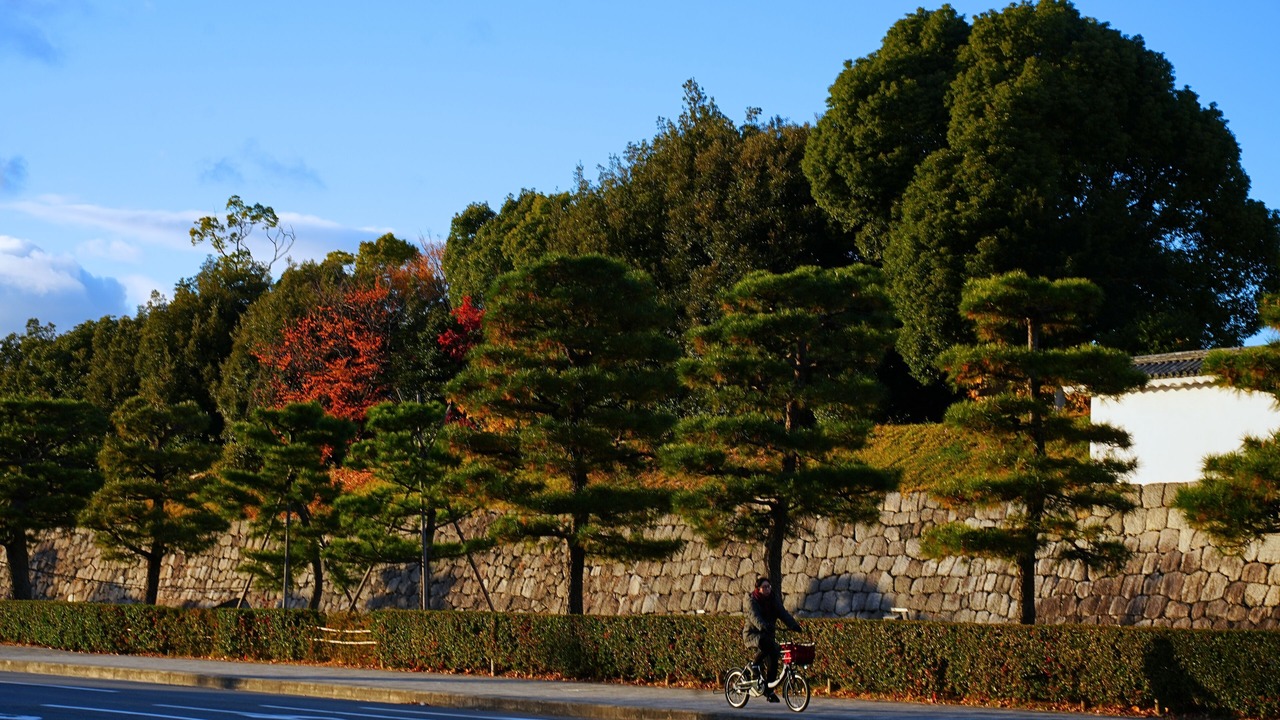 Photo of Others in Central Kyoto