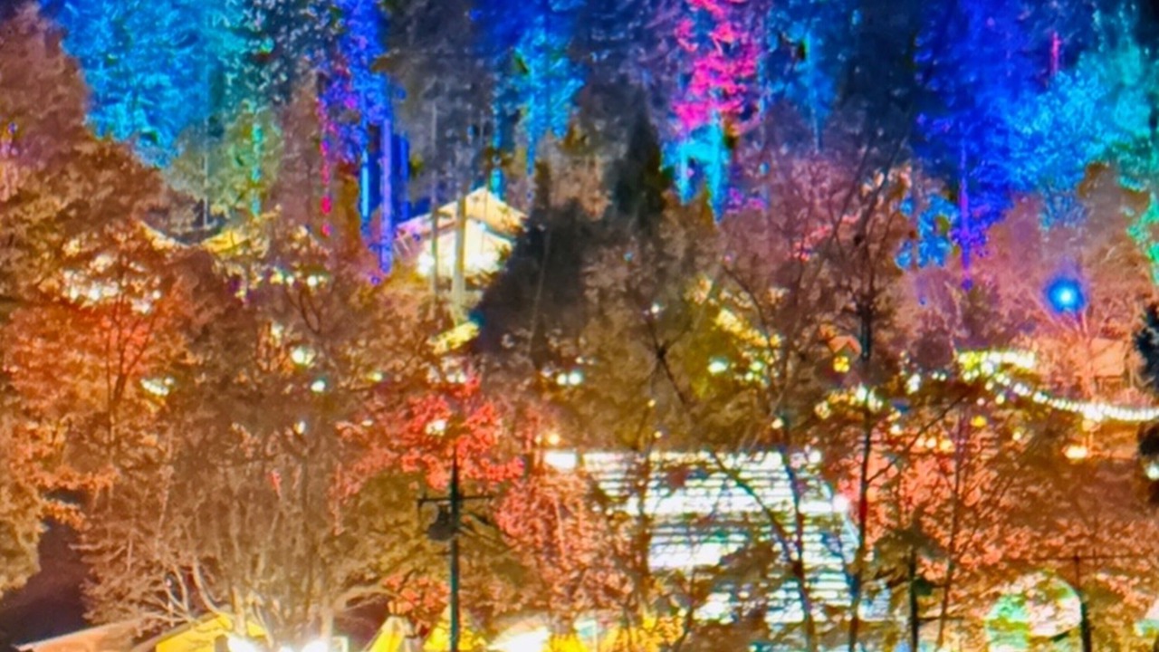 Photo of Others in Uenohara