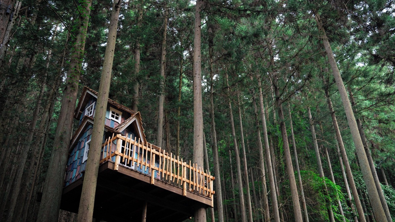 Photo of Others in Uenohara