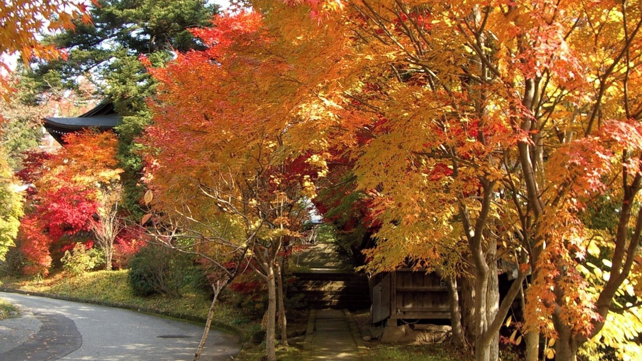 Photo of Others in Hida Takayama Onsen