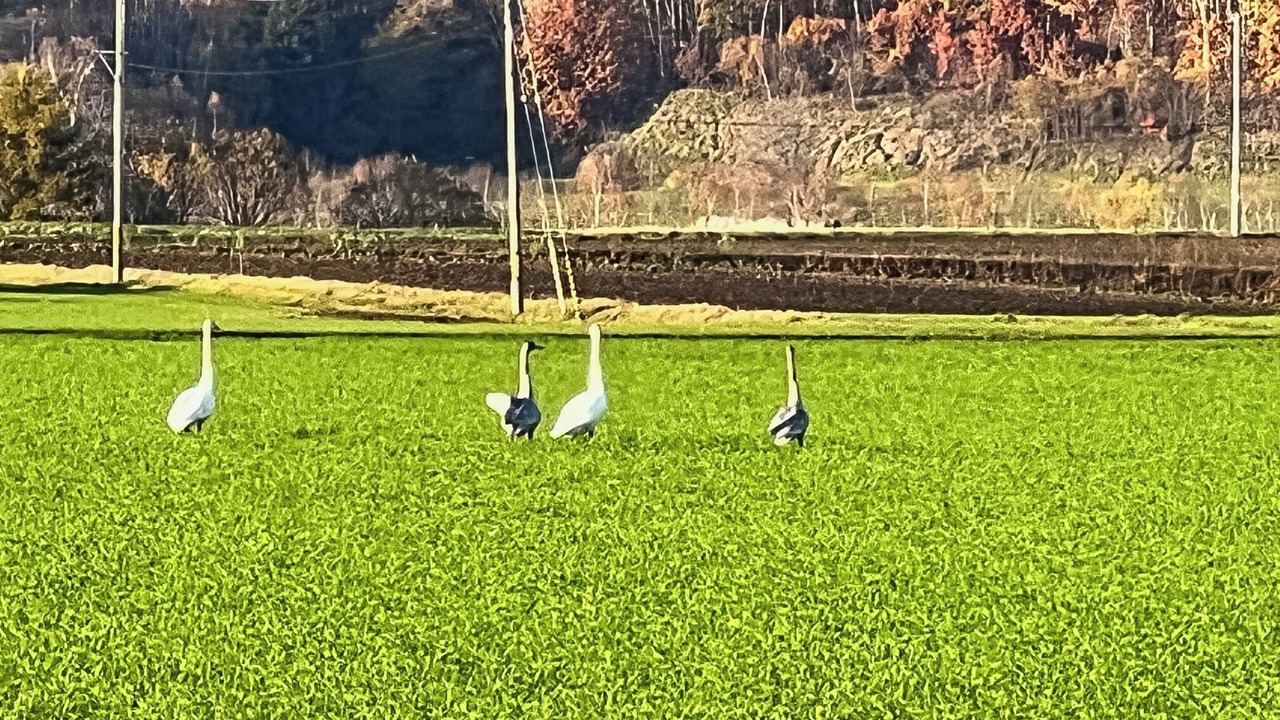 Photo of Others in Abashiri